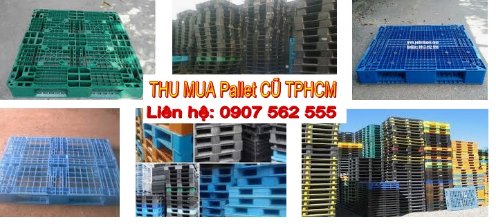 Đơn vị chuyên thu mua pallet nhựa cũ tại tphcm